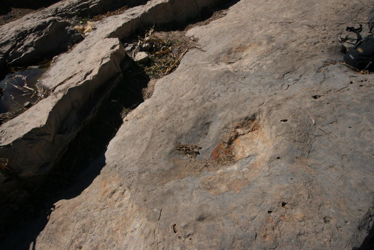 Aguerd n Ouzrou a un double atout : des traces de dinosaures datant de 180 millions d’années mais aussi une nature environnante à couper le souffle